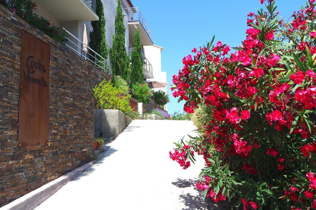 Residence Costa Vermella, Vue Mer Et Montagne Au Calme Cerbère المظهر الخارجي الصورة